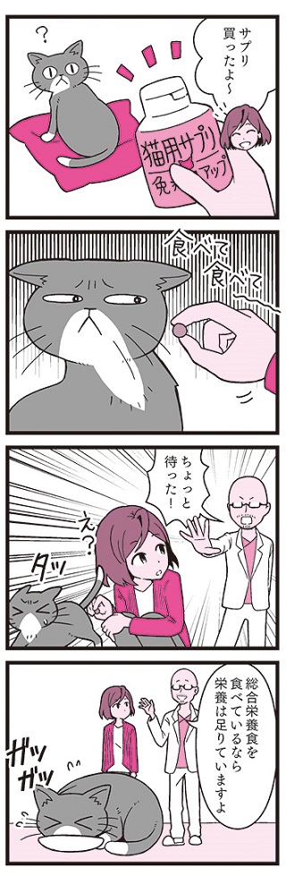 猫の寿命はごはんで決まる