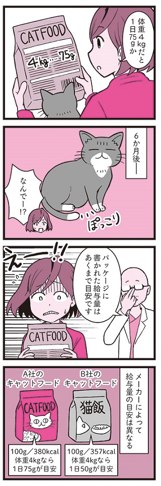 猫の寿命はごはんで決まる