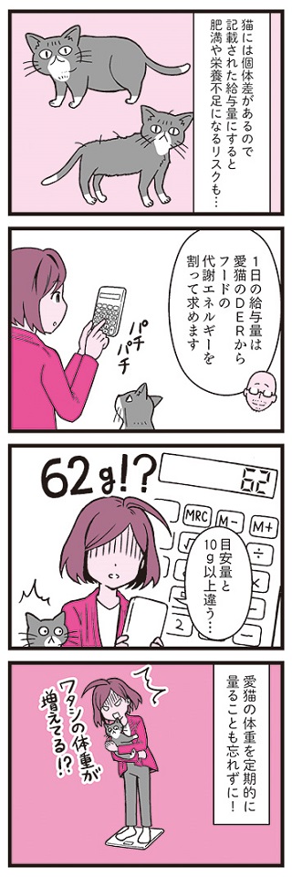 猫の寿命はごはんで決まる