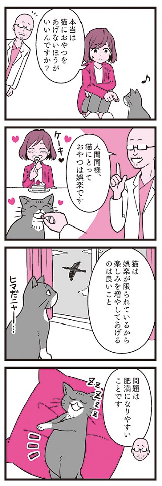 猫の寿命はごはんで決まる