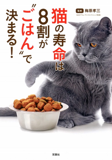 猫の寿命はごはんで決まる