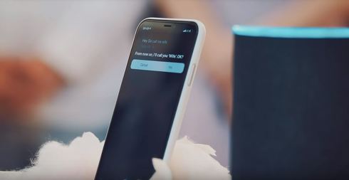 シリとアレクサの結婚式