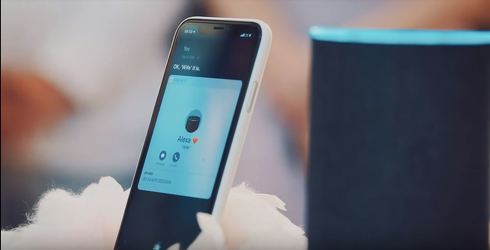 シリとアレクサの結婚式