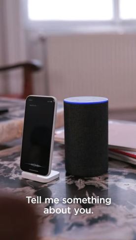 シリとアレクサの結婚式