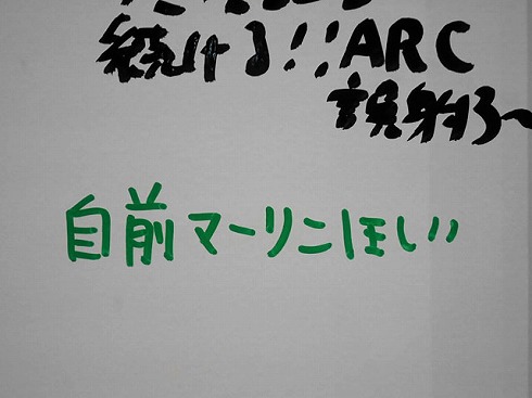 ニコニコ超会議2019