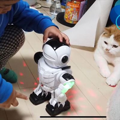 マンチカンズと仲間たち