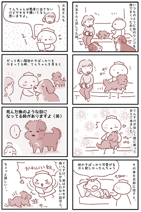 元保護犬てんすけ