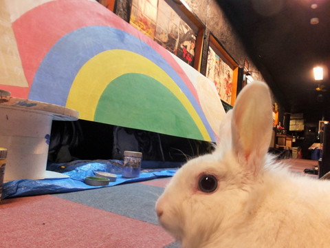 うさぎ てっぴー
