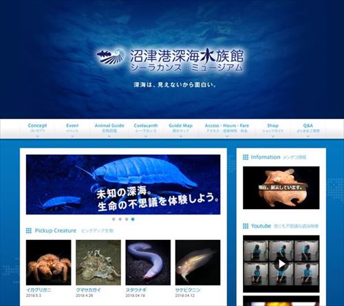 平面水族館　シーラカンス　メンダコ親子　沼津港深海水族館限定 沼津港深海水族館 | 水族館とか動物園を巡って