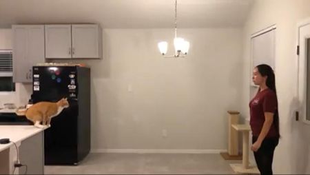 ロングジャンプ