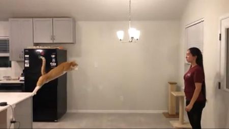 ロングジャンプ