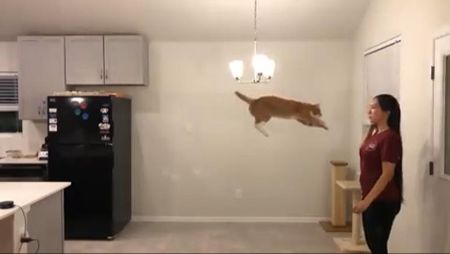 ロングジャンプ