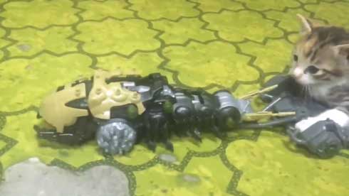 ゾイド キャタルガ 子猫 乗せる トルク タカラトミー