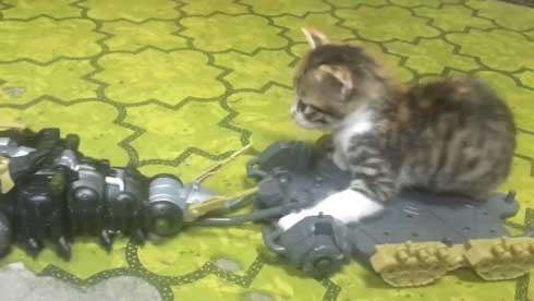 ゾイド キャタルガ 子猫 乗せる トルク タカラトミー