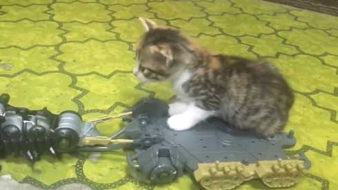 ゾイド キャタルガ 子猫 乗せる トルク タカラトミー