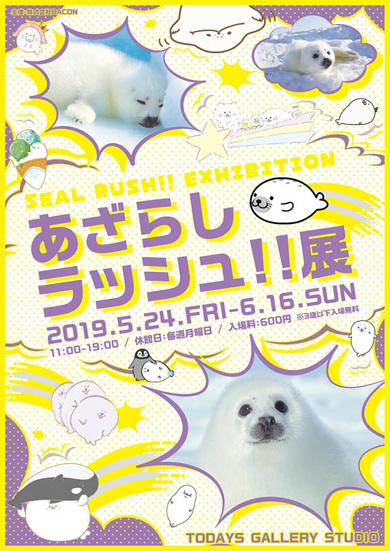 あざらしラッシュ!!展