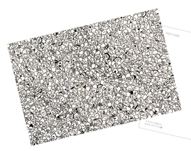 あざらしラッシュ!!展