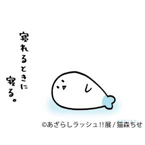 あざらしラッシュ!!展