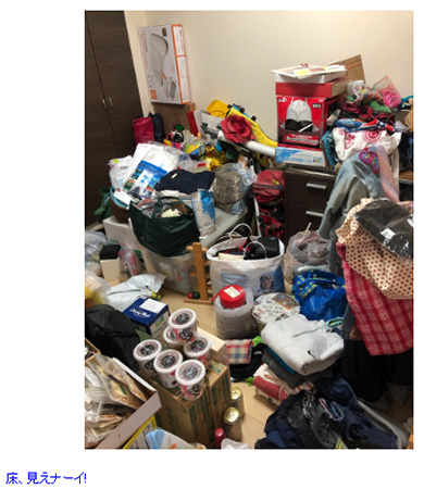 奥山佳恵 汚部屋 掃除 ロイズ カビ