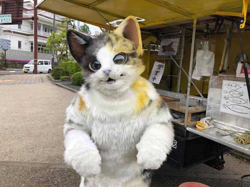 鳥取県の「猫の焼き芋屋さん」がすごいモフモフ！ 2足歩行で接客