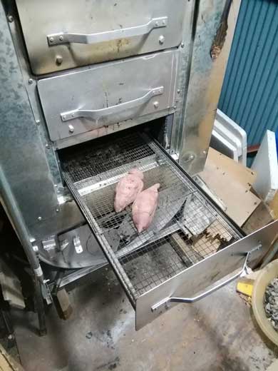 猫 焼き芋屋さん 山田 三毛猫 ミケ 着ぐるみ