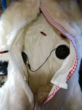 猫 焼き芋屋さん 山田 三毛猫 ミケ 着ぐるみ