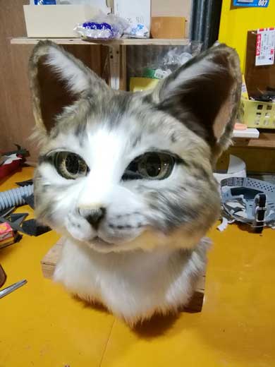 猫 焼き芋屋さん 山田 三毛猫 ミケ 着ぐるみ