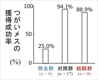 モズのはやにえ