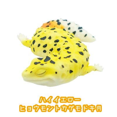 レオパードゲッコー　おやすみシリーズ