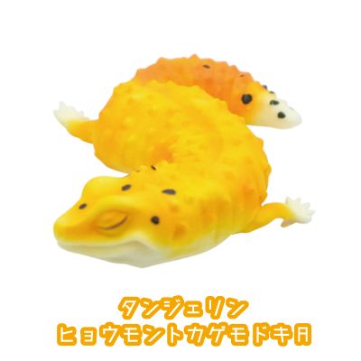 レオパードゲッコー　おやすみシリーズ