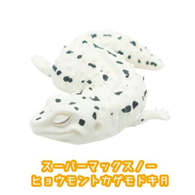 レオパードゲッコー　おやすみシリーズ