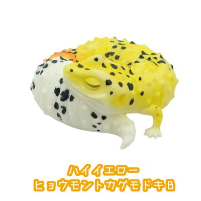 レオパードゲッコー　おやすみシリーズ