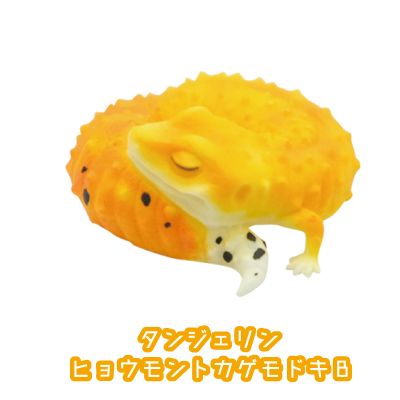 レオパードゲッコー　おやすみシリーズ