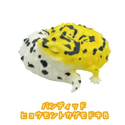 レオパードゲッコー　おやすみシリーズ