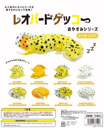 レオパードゲッコー　おやすみシリーズ