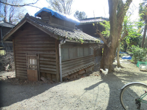 オールジェンダー