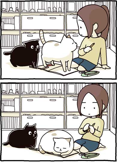 猫 漫画 仲裁 あるある ペン ノート 寝る 爪 たき りょうこ