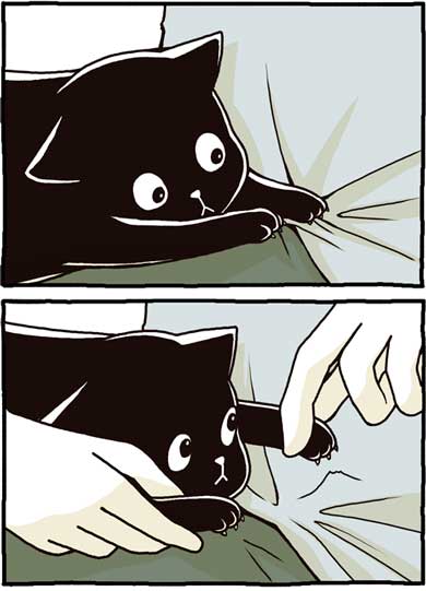 猫 漫画 仲裁 あるある ペン ノート 寝る 爪 たき りょうこ