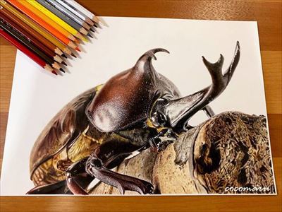 色鉛筆で描いたカブトムシ