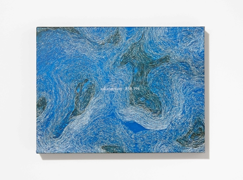 サカナクション 新海誠 ワンダーランド NEWS23 オープニング アルバム 6年ぶり834194