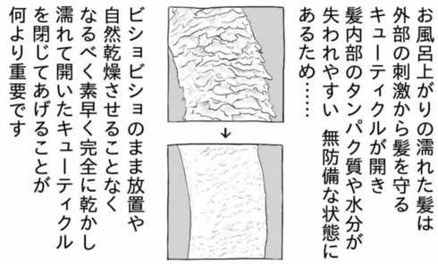 ドライヤーの乾かし方37