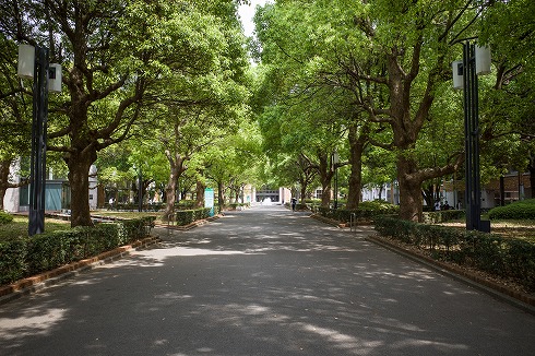 千葉商科大学の学食ベンチャー食堂