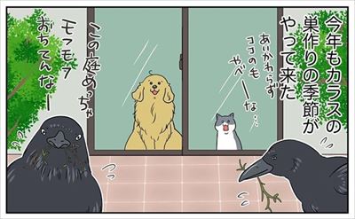餅付きなこさんの漫画