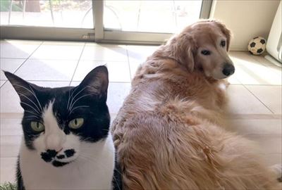 餅付きなこさんの漫画