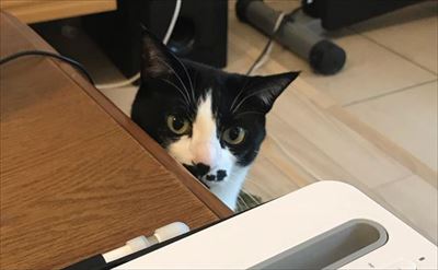 餅付きなこさんの漫画