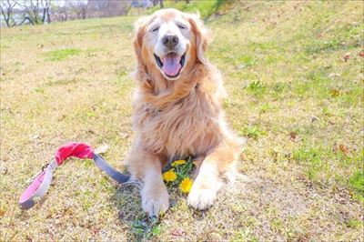 餅付きなこさんの漫画