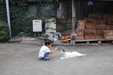 船橋日記〜いつも通っている道〜