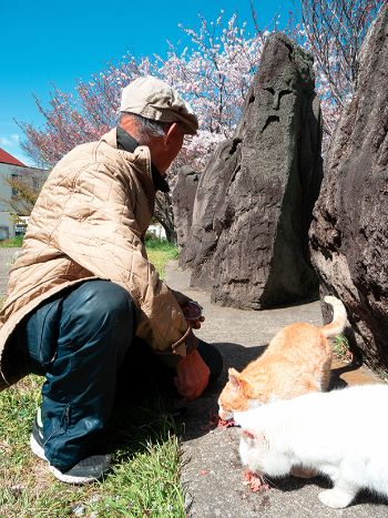 船橋日記〜いつも通っている道〜