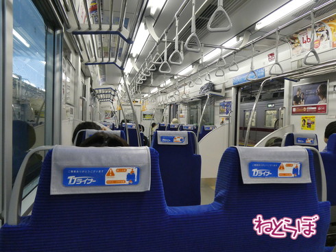 西武のLaview 東武の川越特急