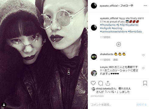 ayabambi アヤバンビ 仲万美 ayasato 椎名林檎 三毒史 鶏と蛇と豚